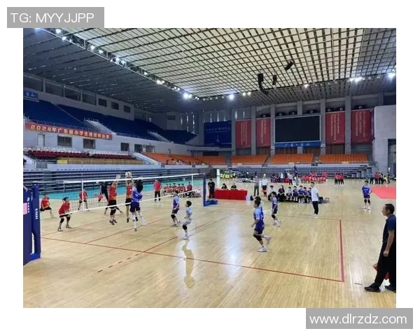 深圳排球队逆袭之路揭秘精英赛背后的奋斗与荣耀 深圳排球队逆袭之路揭秘精英赛背后的奋斗与荣耀